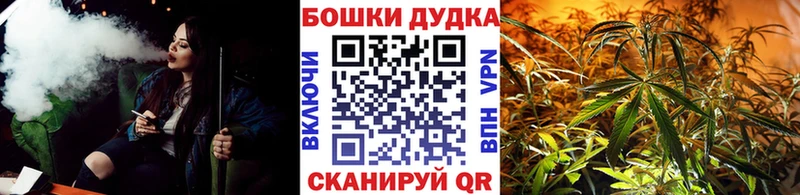 Бошки марихуана семена  Куртамыш 